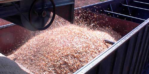 Fling-filling a freight car