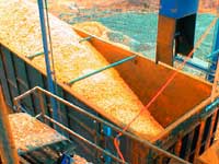 Overweight freight car