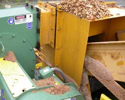 Blower Chip accelerator